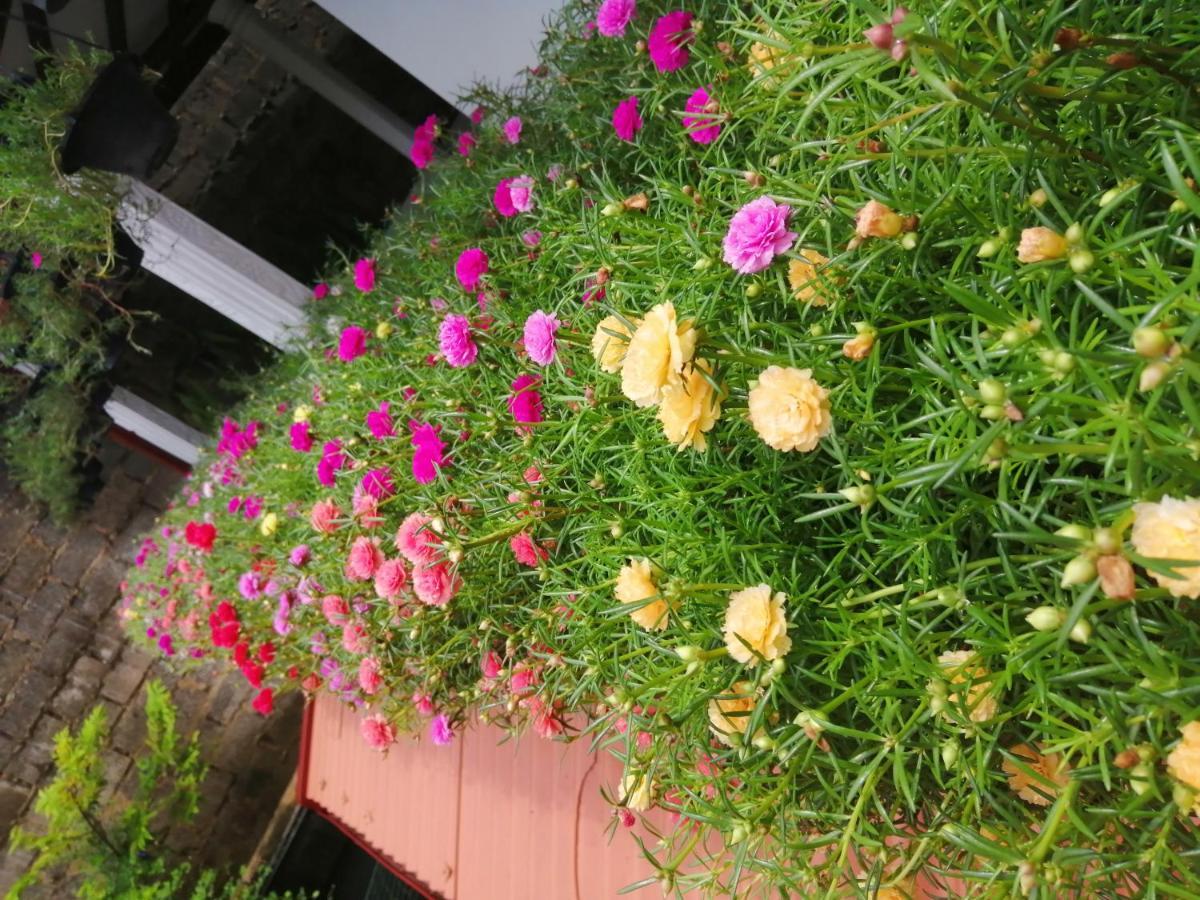 Kanthi Holiday Rest Homestay Mirissa Exterior foto